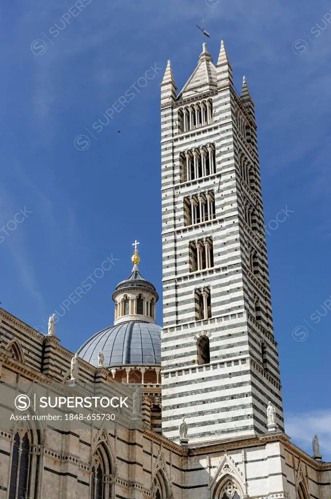 Steeple of Siena Cathedral, Santa Maria Assunta Cathedral, Siena, Tuscany, Italy, Europe