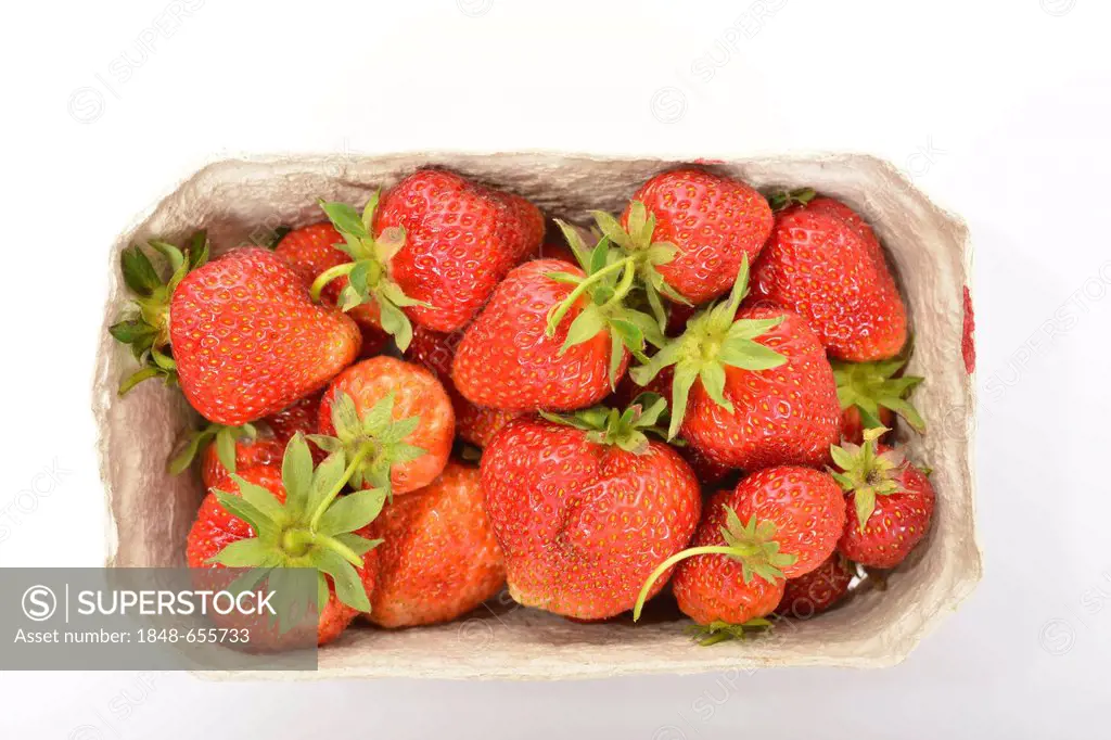 Strawberries from Naturland organic agriculture in a paper tray