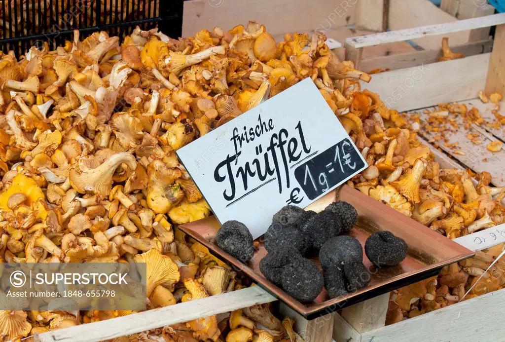 Fresh Chanterelles and Black Périgord Truffles on sale, Hauptmarkt, Main Market, Nuernberg, Nuremberg, Bavaria, Germany, Europe