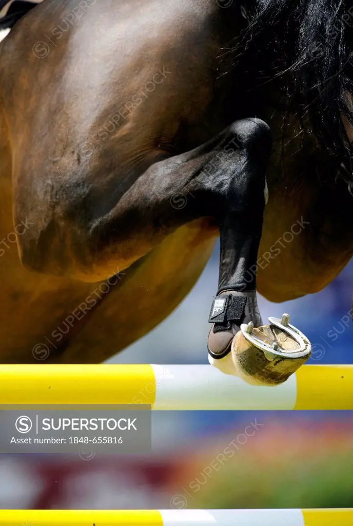 Show jumping, STAWAG Prize, World Equestrian Festival, CHIO Aachen 2012, Soers stadium, Aachen, North Rhine-Westphalia, Germany, Europe
