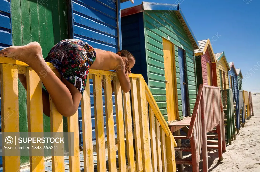 Boy lying on a fence in front of colourful beach huts, Muizenberg, Western Cape, South Africa, Africa