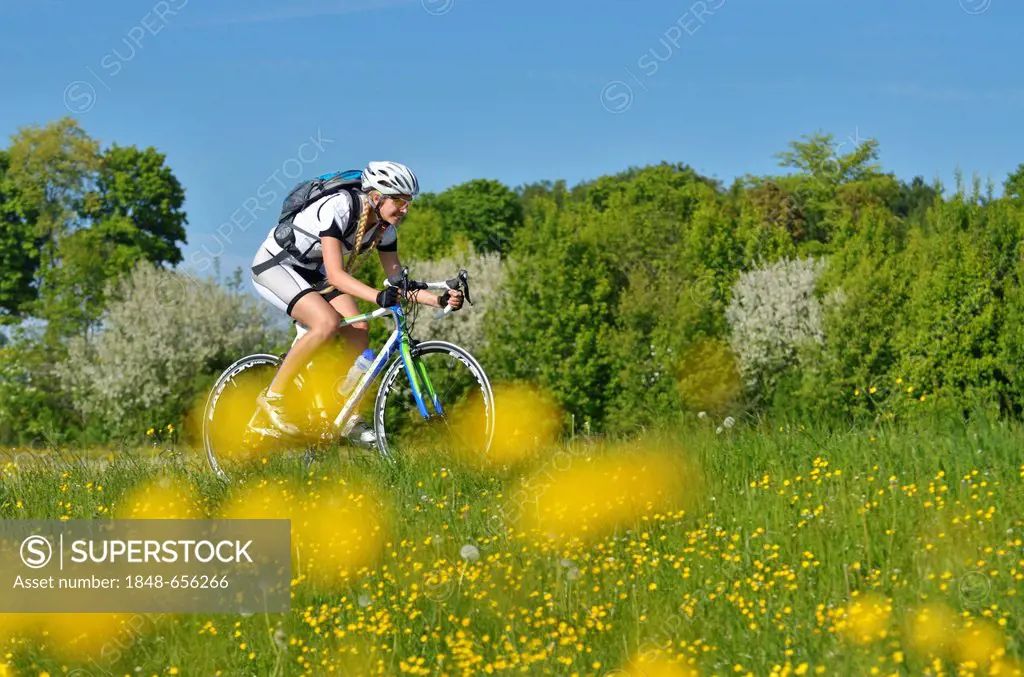 Young woman cycling on a road bike, Upper Bavaria, Bavaria, Germany, Europe