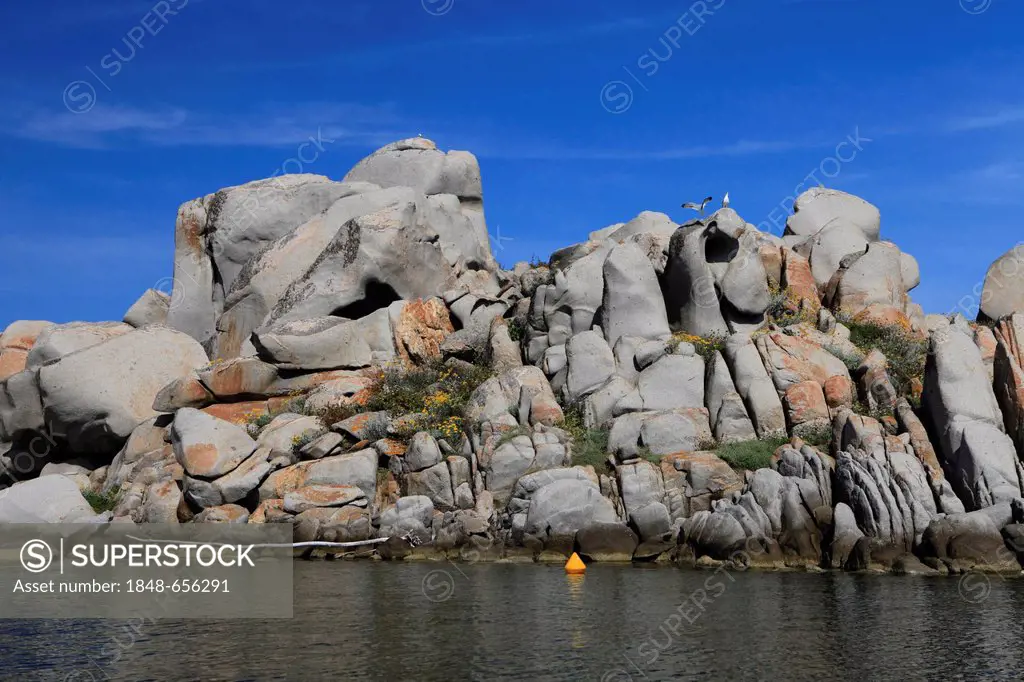 Rock formations, Lavezzi Island Nature Reserve, southern Corsica, Corsica, France, Europe