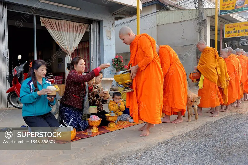 Buddhist mendicants receiving offerings from residents at the main road early in the morning, Phonsavan, Laos, Southeast Asia, Asia