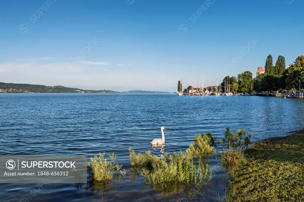 The bank area of Bodman with views across Ueberlinger See lake, Lake Constance region, Baden-Wuerttemberg, Germany, Europe