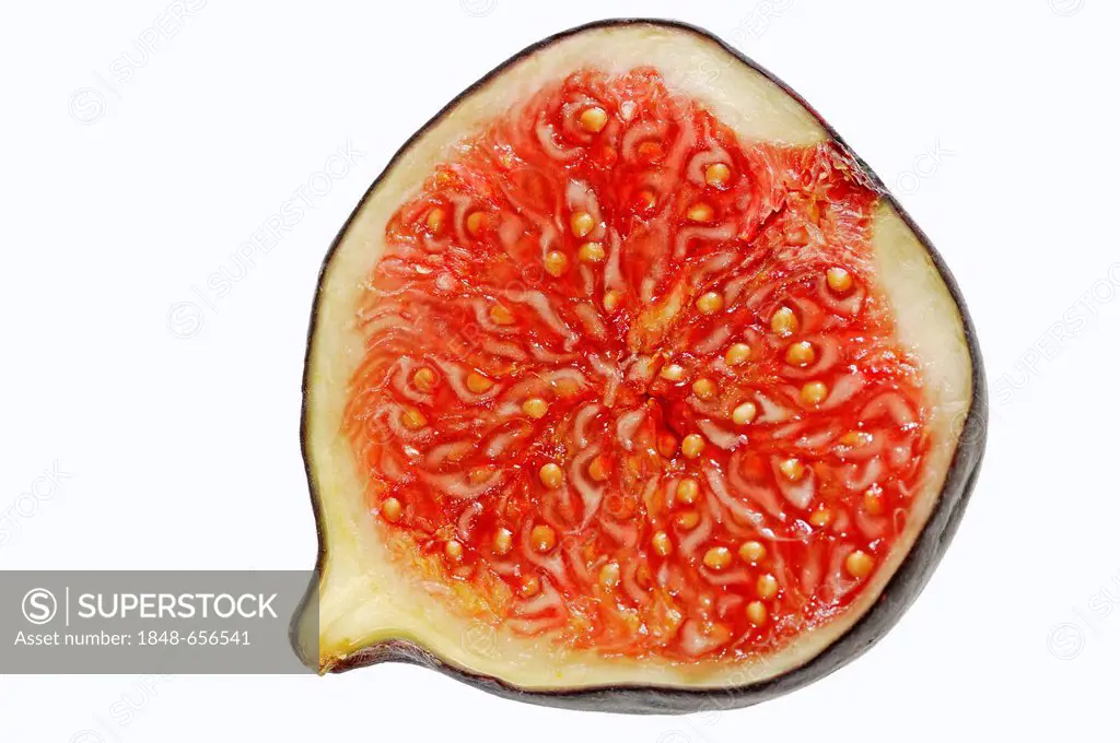Fig (Ficus carica), halved fruit