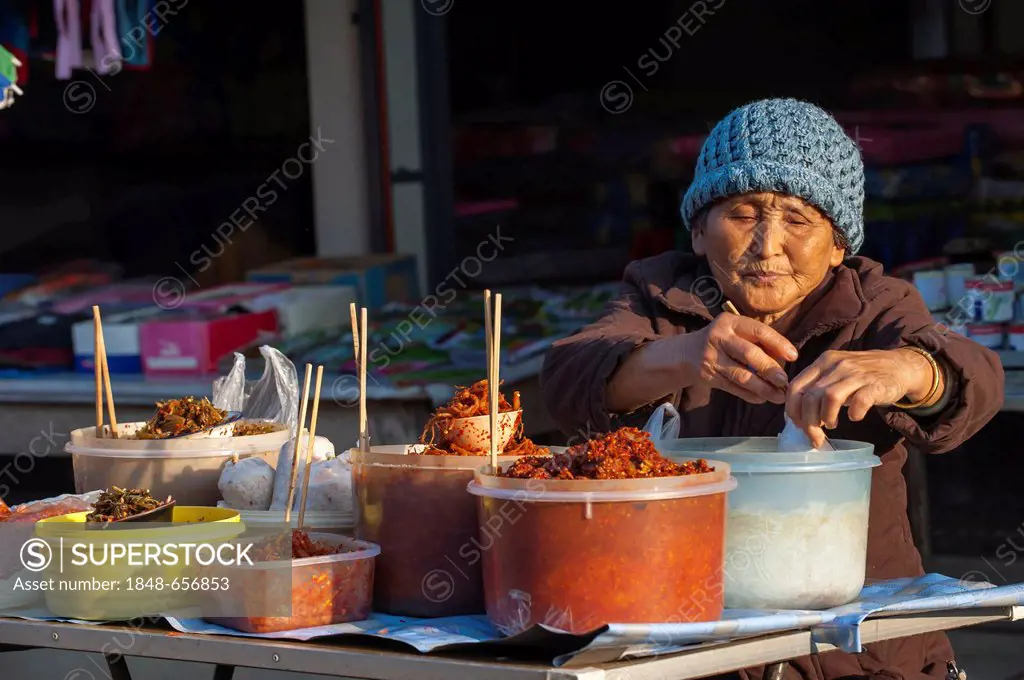 Vendor at a food stall, market, Bin Hin Taek or Therd Thai or Thoed Thai, Northern Thailand, Thailand, Asia