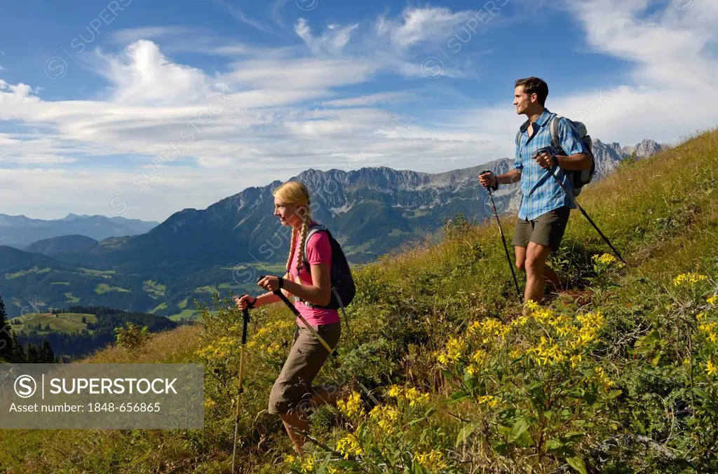 Hikers on Mt Hartkaiser, Wilder Kaiser massif at back, Tyrol, Austria, Europe