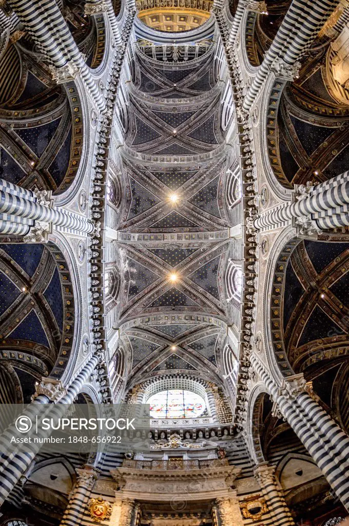 Interior view, ceiling of the Cathedral of Siena, Cattedrale di Santa Maria Assunta, main church of the city of Siena, Tuscany, Italy, Europe
