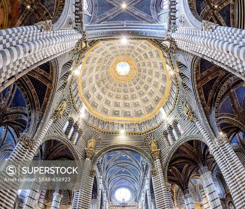 Interior view, dome of the Cathedral of Siena, Cattedrale di Santa Maria Assunta, main church of the city of Siena, Tuscany, Italy, Europe