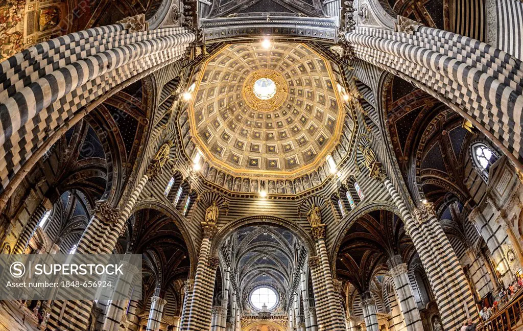 Interior view, dome of the Cathedral of Siena, Cattedrale di Santa Maria Assunta, main church of the city of Siena, Tuscany, Italy, Europe