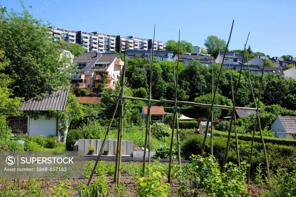 Allotment gardens, single and multi family houses, apartment towers in the Auf der Hoehe district, Essen-Kettwig, Essen, North Rhine-Westphalia, Germa...
