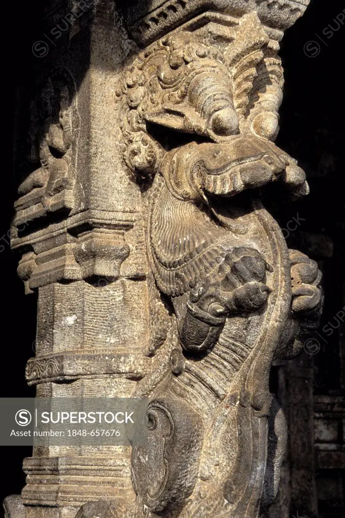 Mythical creature, ornate column, Ranganathaswamy Temple, a Hindu temple, Srirangam, Trichy, also known as Tiruchirappalli, Tamil Nadu, southern India...
