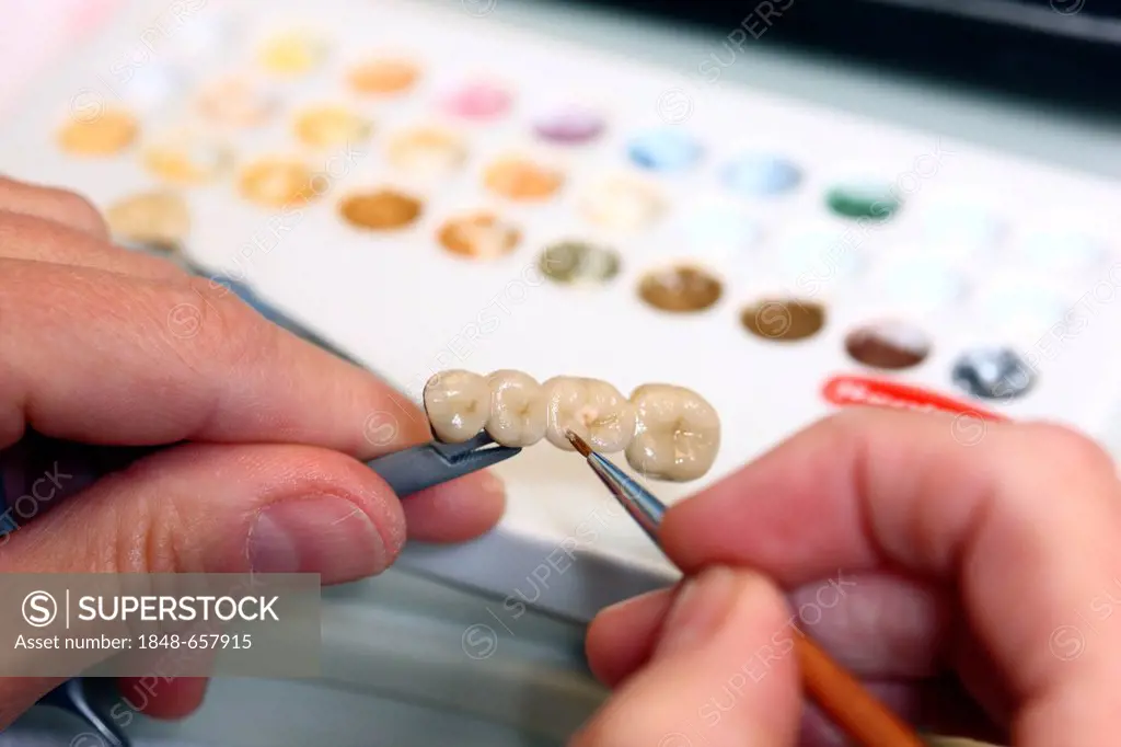 Dental laboratory, manufacture of a dental prostheses by a master craftsman, colour characterisation of a dental bridge before glaze firing