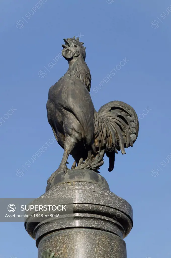 Cock sculpture, detail of the War Monument, Mulhouse, Alsace, France, Europe