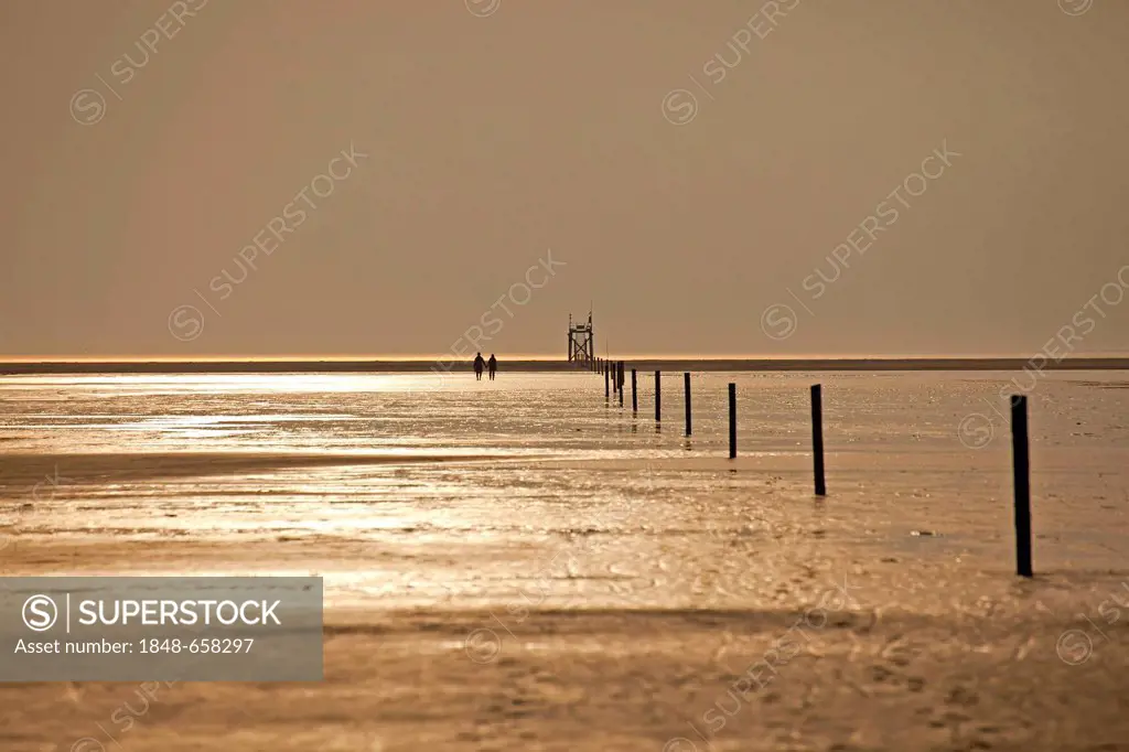 Peolpe walking across the mudflats in the evening light, shallow waters of the North Sea, Schleswig-Holstein Wadden Sea National Park, a UNESCO World ...