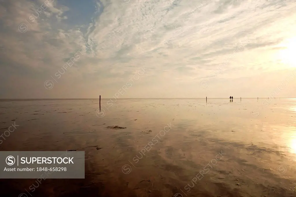 Peolpe walking across the mudflats in the evening light, shallow waters of the North Sea, Schleswig-Holstein Wadden Sea National Park, a UNESCO World ...