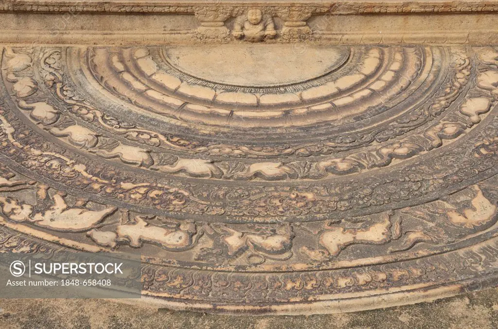Moonstone in front of the steps decorated with reliefs at the Mahasena Palace, Pancavasa, Anuradhapura, UNESCO World Heritage Site, Sri Lanka, Ceylon,...