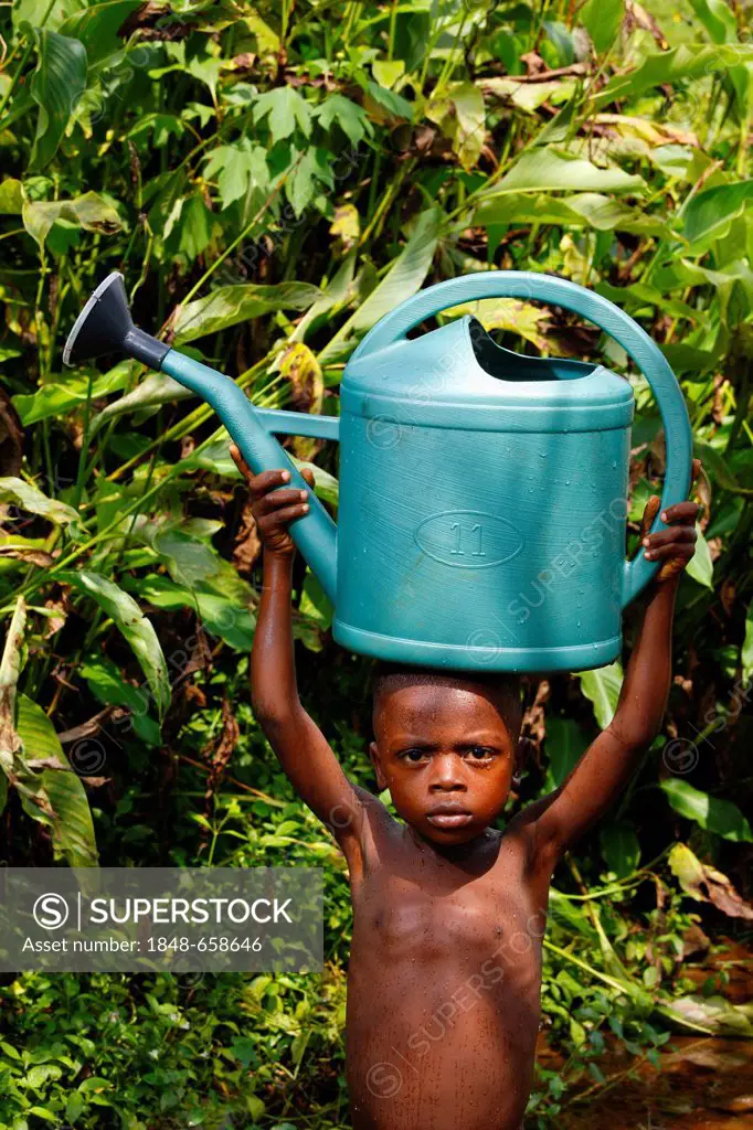 Boy, 6 years, carrying a watering can on his head, Bamenda, Cameroon, Africa