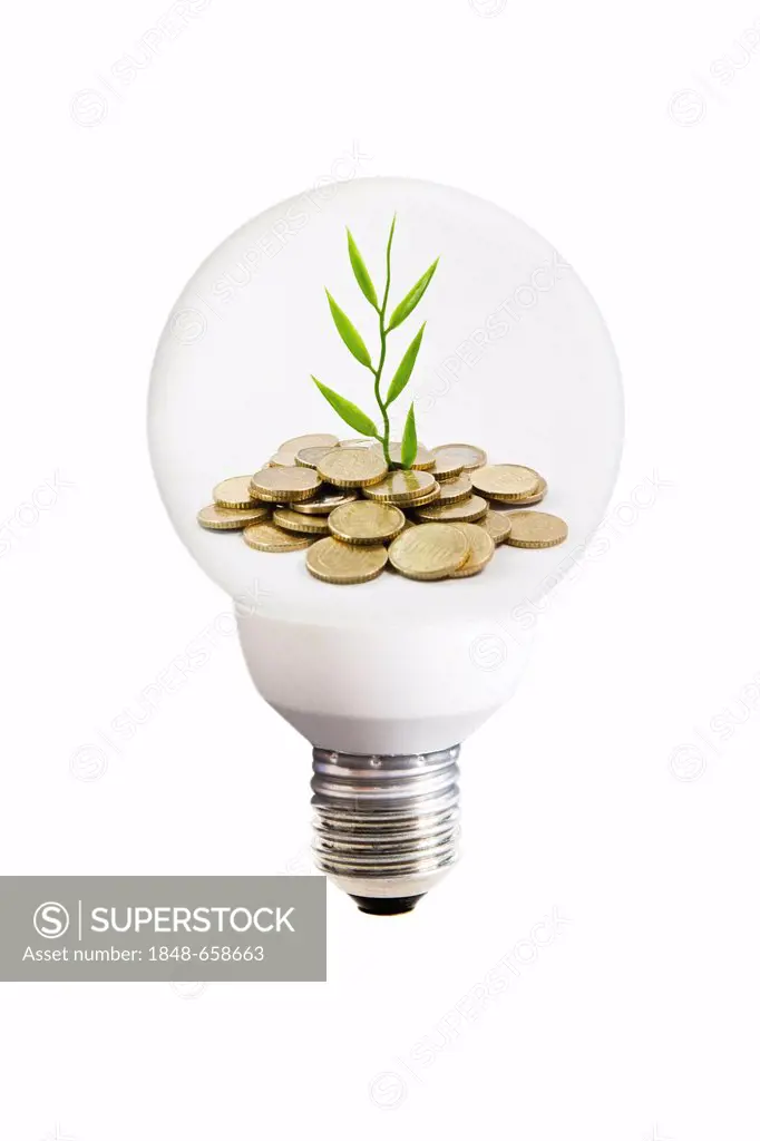 Energy saving lamp filled with coins and a growing plant, symbolic image for saving energy