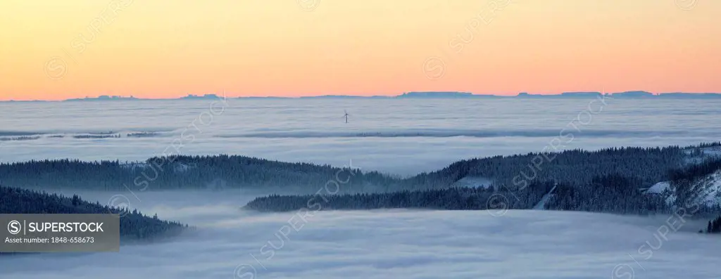 View from Hornisgrinde mountain in the Black Forest mountain range, above the low clouds in the morning light, winter light and the Alps with a mirage...