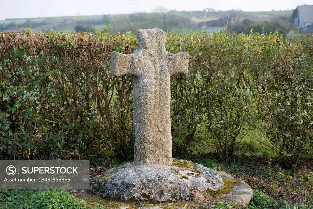 Historic stone cross in front of a hedge, Plouarzel, Finistère department of Brittany, France, Europe
