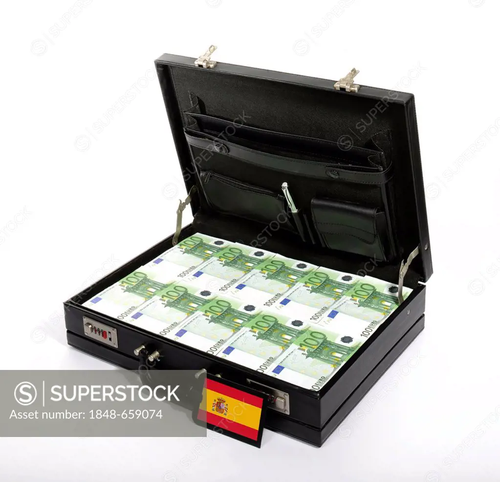 Symbolic image, fragile, vulnerable euro-zone countries, 100-euro banknotes, banknotes in a briefcase, briefcase filled with money, money case, flag o...
