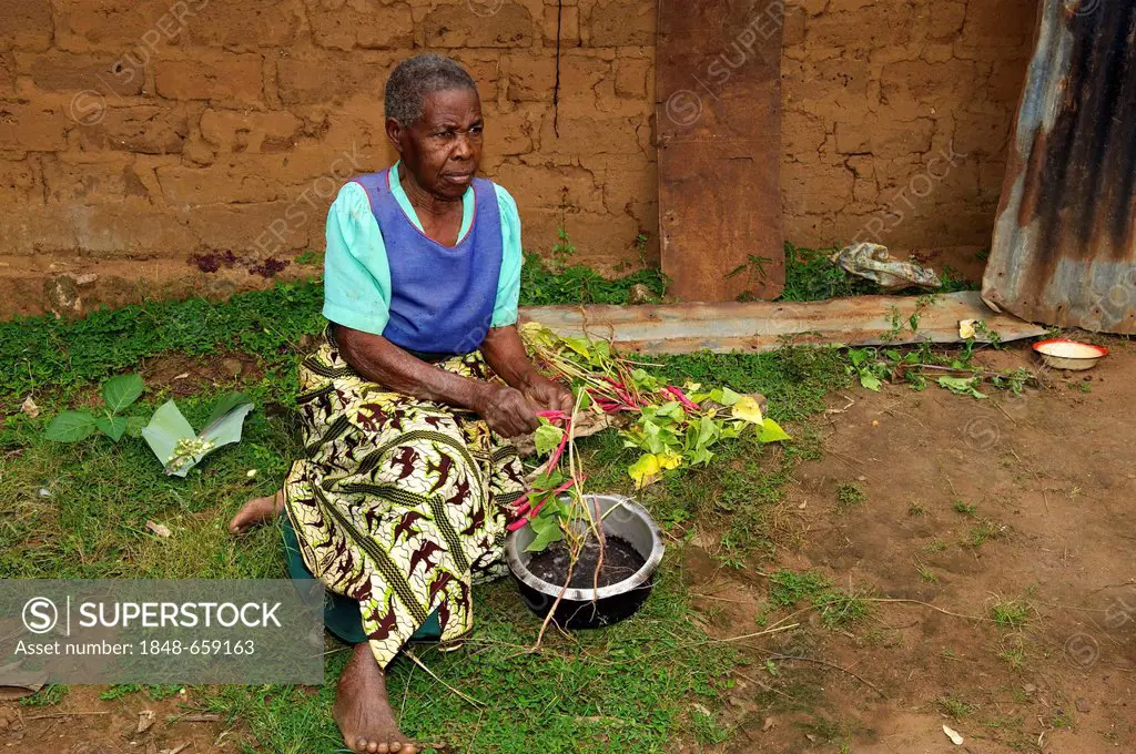 Old woman outside her house, near Bukoba, Tanzania, Africa