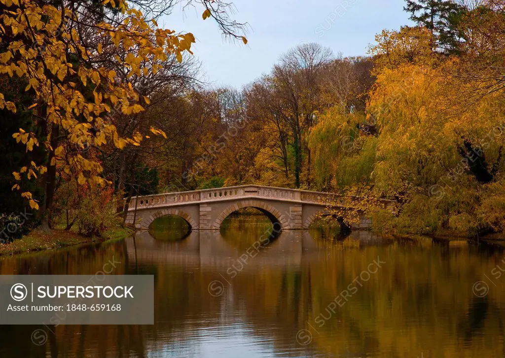 Small bridge on a river surrounded by autumn trees, Laxenburg, Lower Austria, Austria, Europe