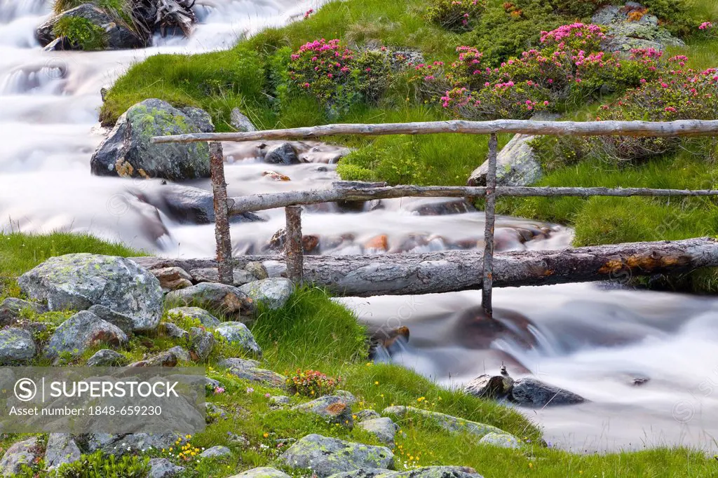 Flowing mountain stream on an alp, Ulten, Ultimo, Val d'Ultimo, South Tyrol, Trentino-Alto Adige, Italy, Europe