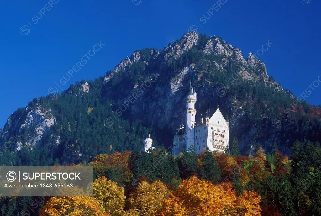 Schloss Neuschwanstein Castle, Schwangau near Fuessen, Bavarian Alps, Allgaeu, Bavarian Alps, Bavaria, Germany, Europe