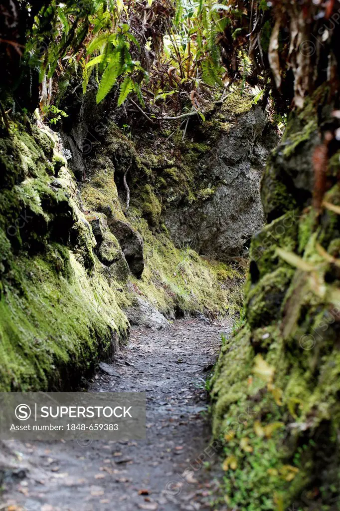 Narrowing of the path, Halemaumau Trail Into the Volcano, down into the caldera, Kilauea Volcano, Hawaii Volcanoes National Park, Big Island, Hawaii, ...