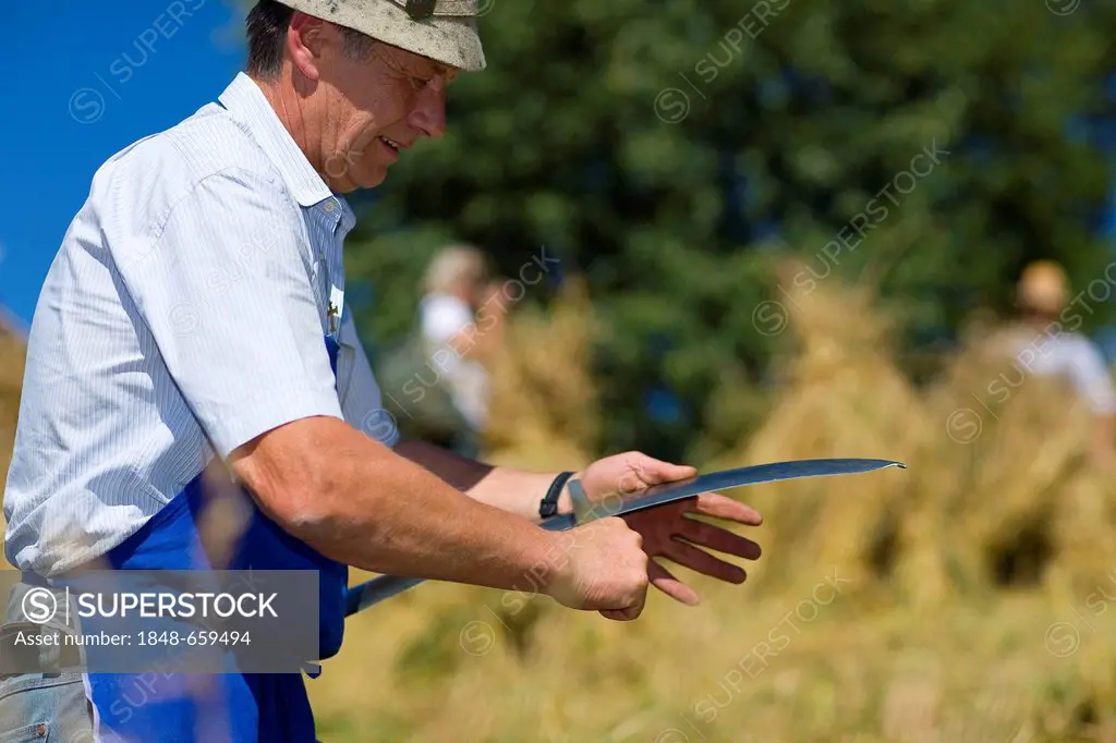 Man peening a sickle, Alto Adige, Italy, Europe