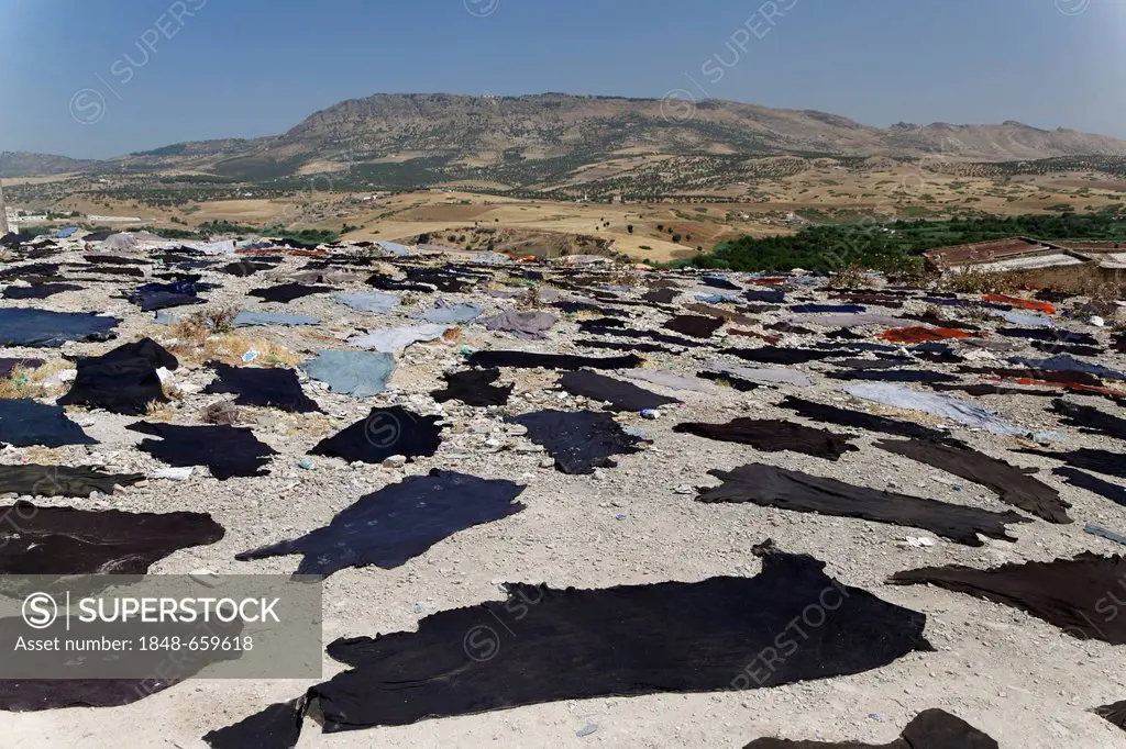 Different types of leather drying in the sun, Fes or Fez, Fès-Boulemane, Morocco, Maghreb, North Africa, Africa