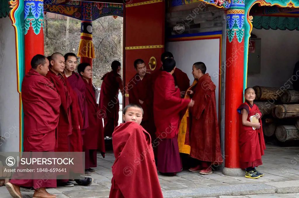 Tibetan Buddhism, monks in the important Kumbum Monastery, Gelug or Gelug-pa yellow hat sect, Ta'er Monastery, Huangzhong, Xinning, Qinghai, formerly ...