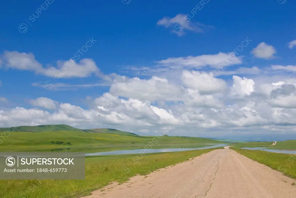 Country road of Kakheti, Georgia, Caucasus, Middle East
