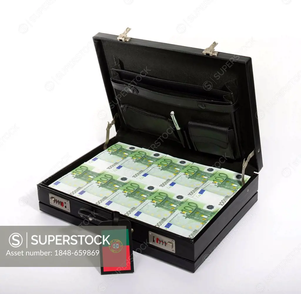 Symbolic image, fragile, vulnerable euro-zone countries, 100-euro banknotes, banknotes in a briefcase, briefcase filled with money, money case, luggag...