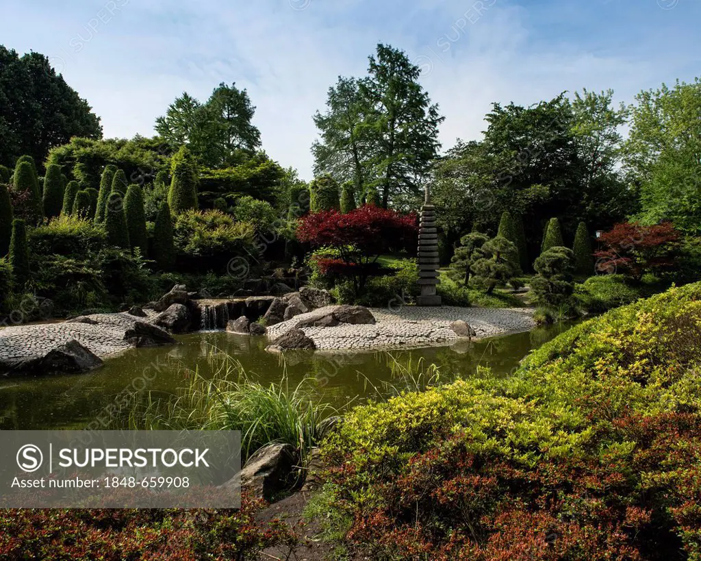 Japanese Garden in Bonn, North Rhine-Westphalia, Germany, Europe