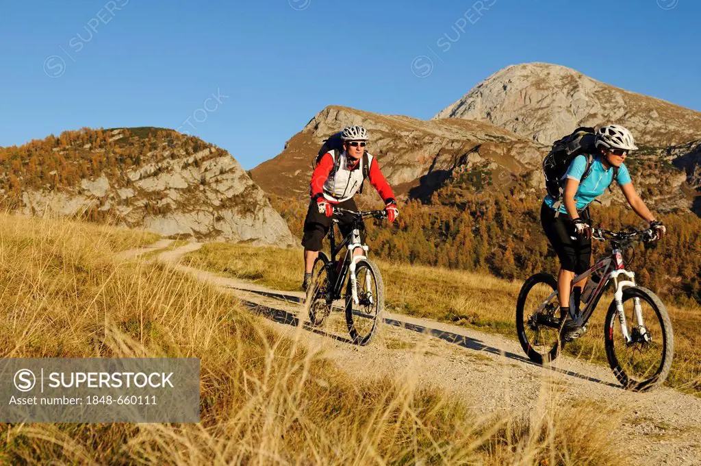 Mountain bikers en route to Gotzenalm alp, Berchtesgadener Land district, Upper Bavaria, Bavaria, Germany, Europe
