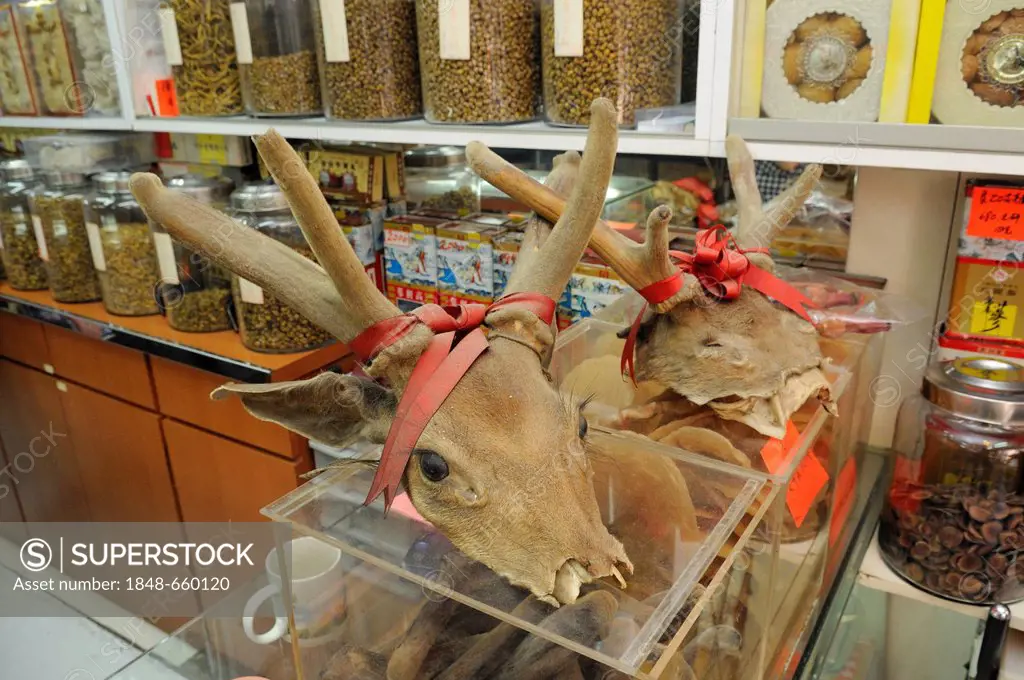 Dried deer heads, Dried Goods, Des Voeux Road, Hong Kong Island, China, Asia
