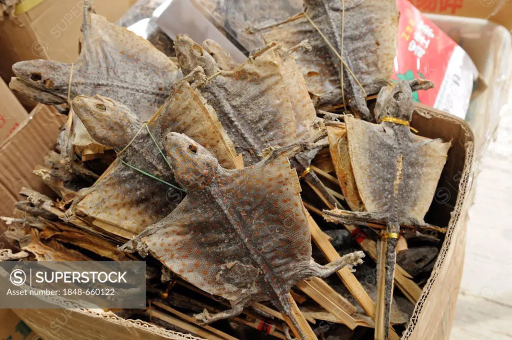 Dried flying lizards, Dried Goods, Des Voeux Road, Hong Kong Island, China, Asia