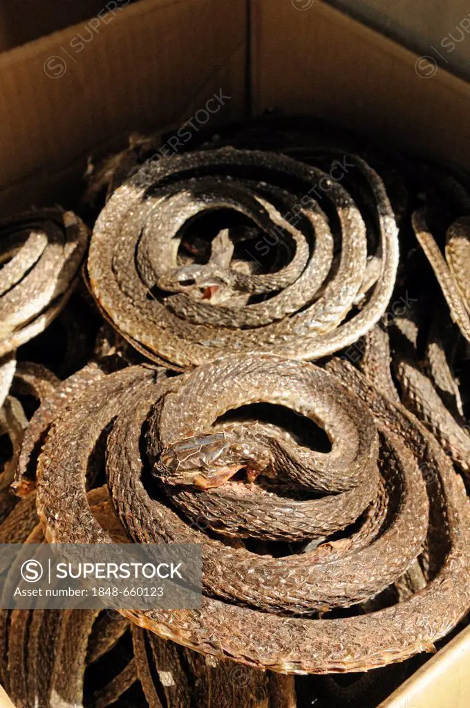 Dried snakes, Dried Goods, Des Voeux Road, Hong Kong Island, China, Asia