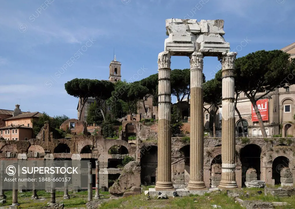 Imperial Forum, Rome, Italy, Europe, PublicGround