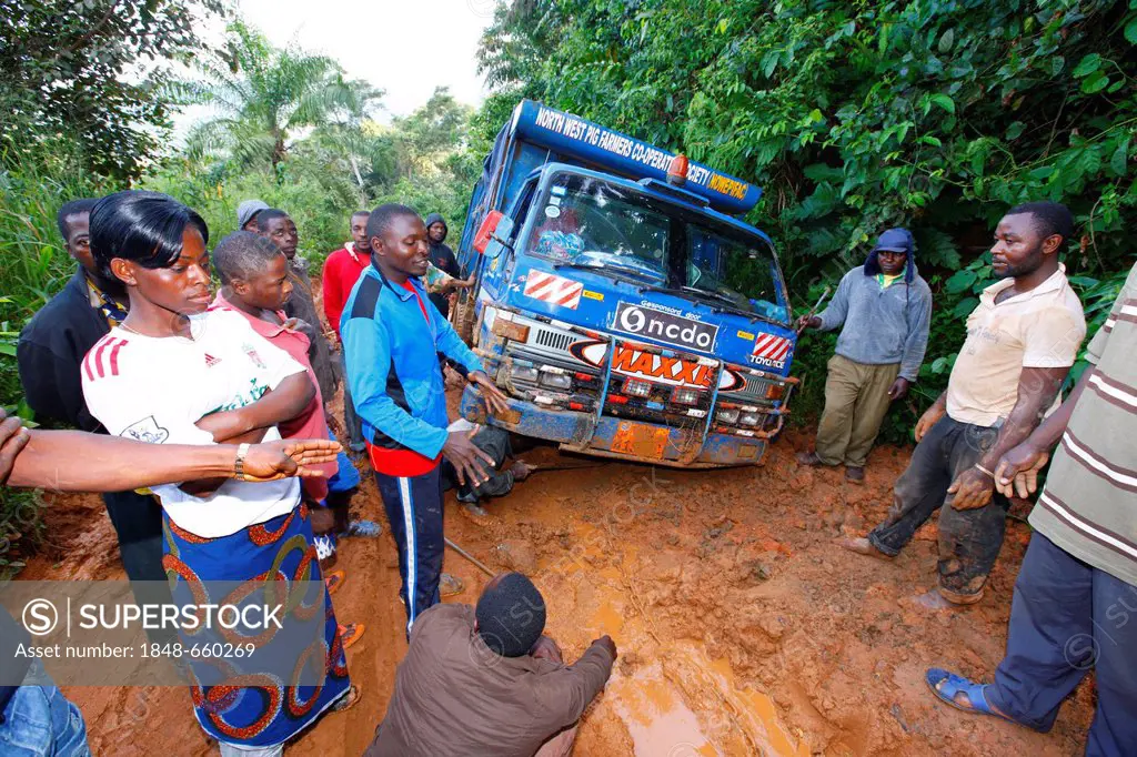 Truck stuck in the mud, jungle trail, Bamenda, Cameroon, Africa