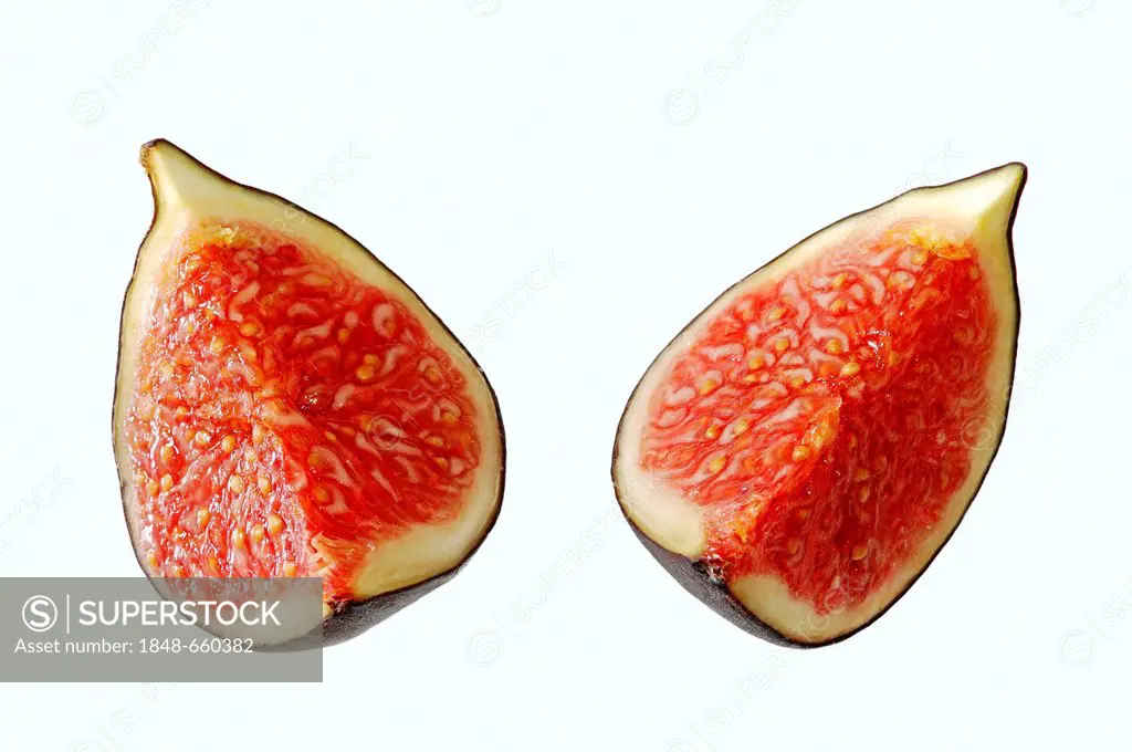 Fig (Ficus carica), cut fruit