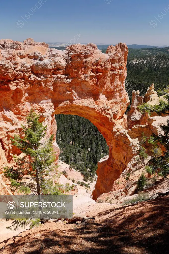 Natural Bridge Arch at the Clarion depositional sequence of red sandstone, Bryce Canyon National Park, Utah, USA