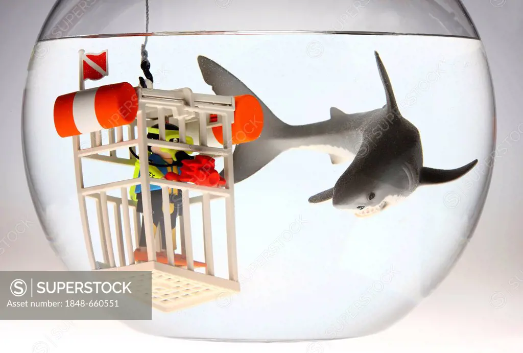 Water toys, scuba diver with an underwater camera in a diving cage next to a shark swimming in a fish bowl, illustration