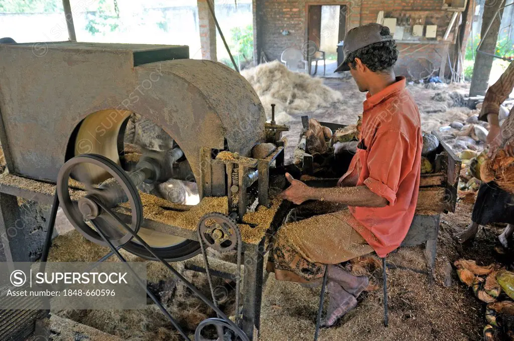 Production of coir or coconut fibres, worker in a factory in Sri Lanka, Ceylon, South Asia, Asia