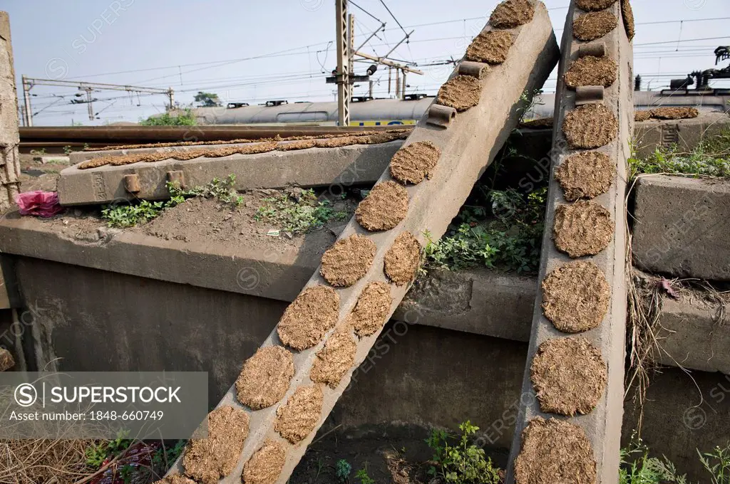 Cow dung is being dried on railway sleepers to be used as fuel, Shibpur district, Haora or Howrah, Calcutta, Kolkata, West Bengal, India, Asia