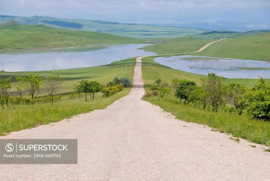 Country road leading through meadows, Davit Gareja, Georgia, Caucasus